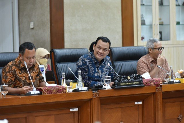 Wakil Ketua Komisi VI DPR RI Martin Manurung Foto: Oji/Man