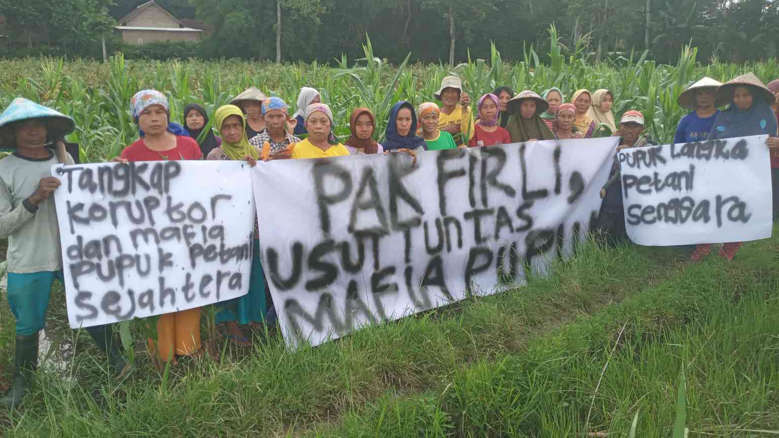 Para petani menuntut Firli turun tangan tuntaskan masalah pupuk subsidi/dok: tim Media