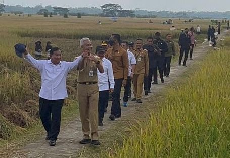 Prabowo Subianto bersama Ganjar Pranowo saat dampingi Jokowi tinjau panen di Kebumen (Istimewa)