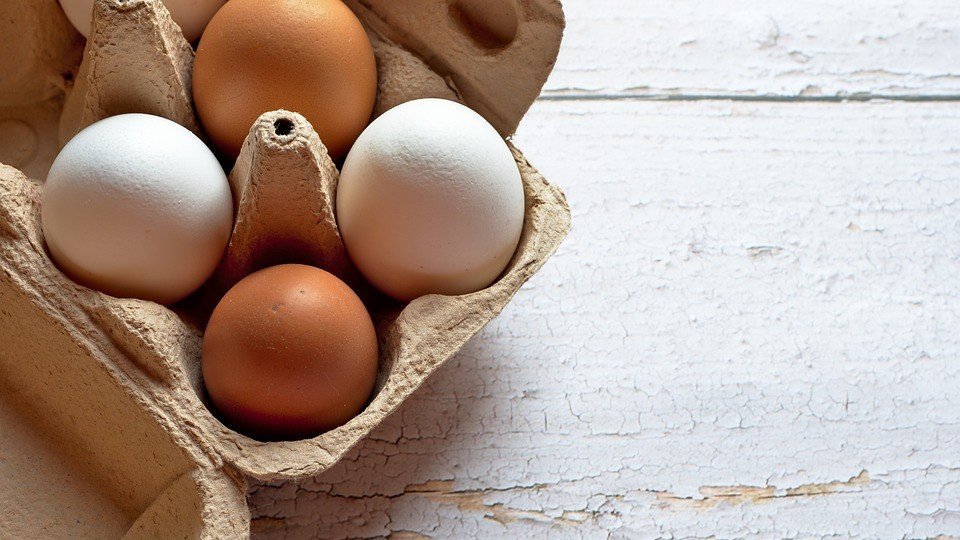 Telur ayam (SinPo.id/ Pixabay)