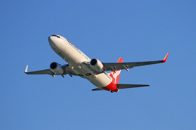 Ilustrasi Boeing 737 (SinPo.id/pixabay.com)