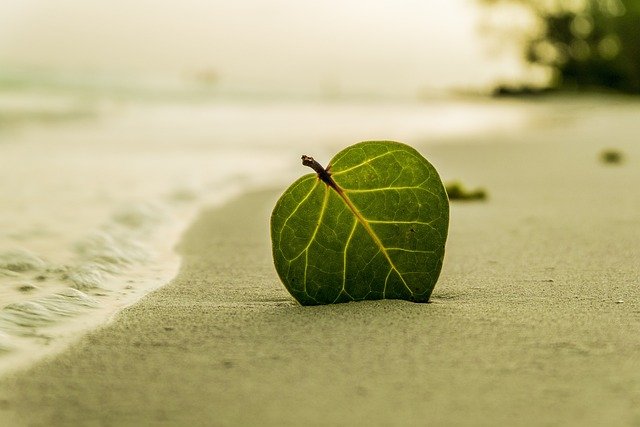 Ilustrasi pasir pantai (Pixabay.com/SinPo.id)