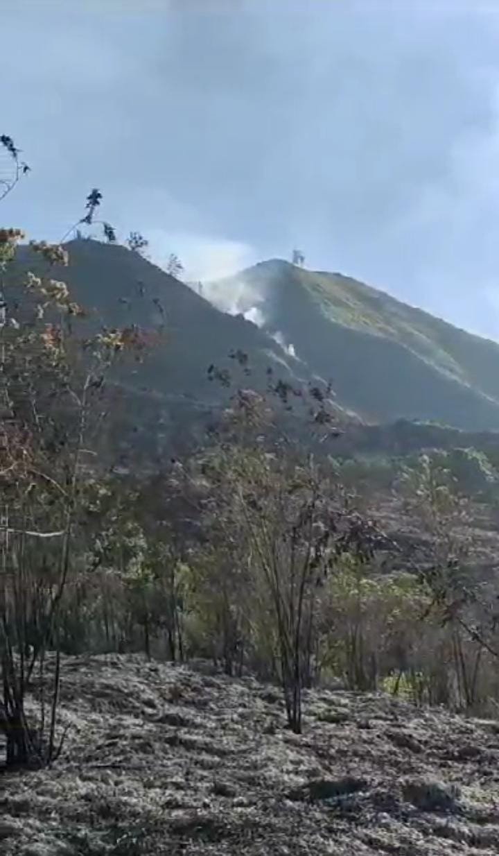 lereng Gunung Arjuno, terbakar pada Sabtu 26 Agustus 2023 pukul 22.00 WIB