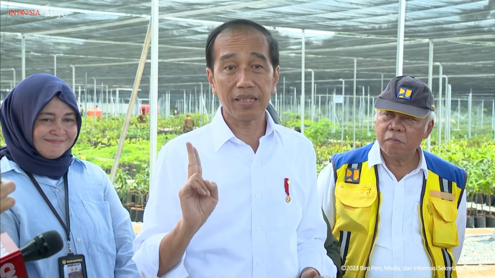 Presiden Jokowi meninjau persemaian Mentawir di Penajam Paser Utara (SinPo.id/ Setpres)