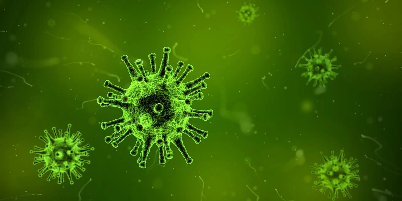 Virus (Sinpo.id/Pixabay)