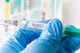 Ilustrasi vaksinasi rabies (istimewa)