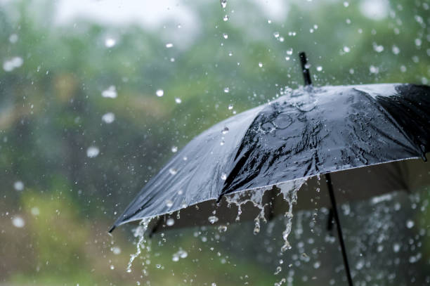 Ilustrasi hujan (SinPo.id/ Getty Images)